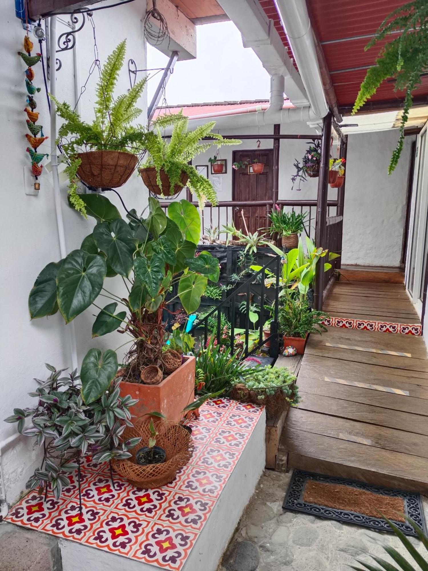 Apartaestudios La Baranda Salento Eksteriør billede