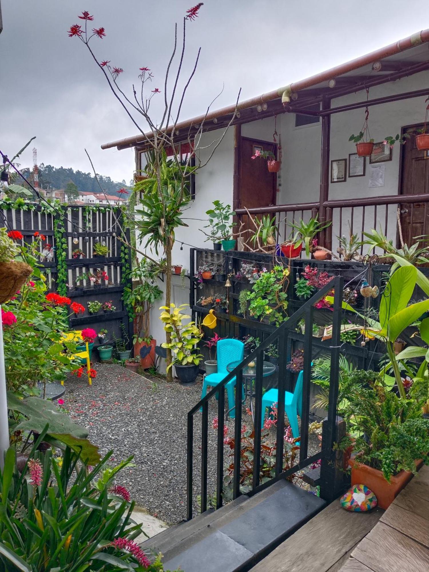 Apartaestudios La Baranda Salento Eksteriør billede