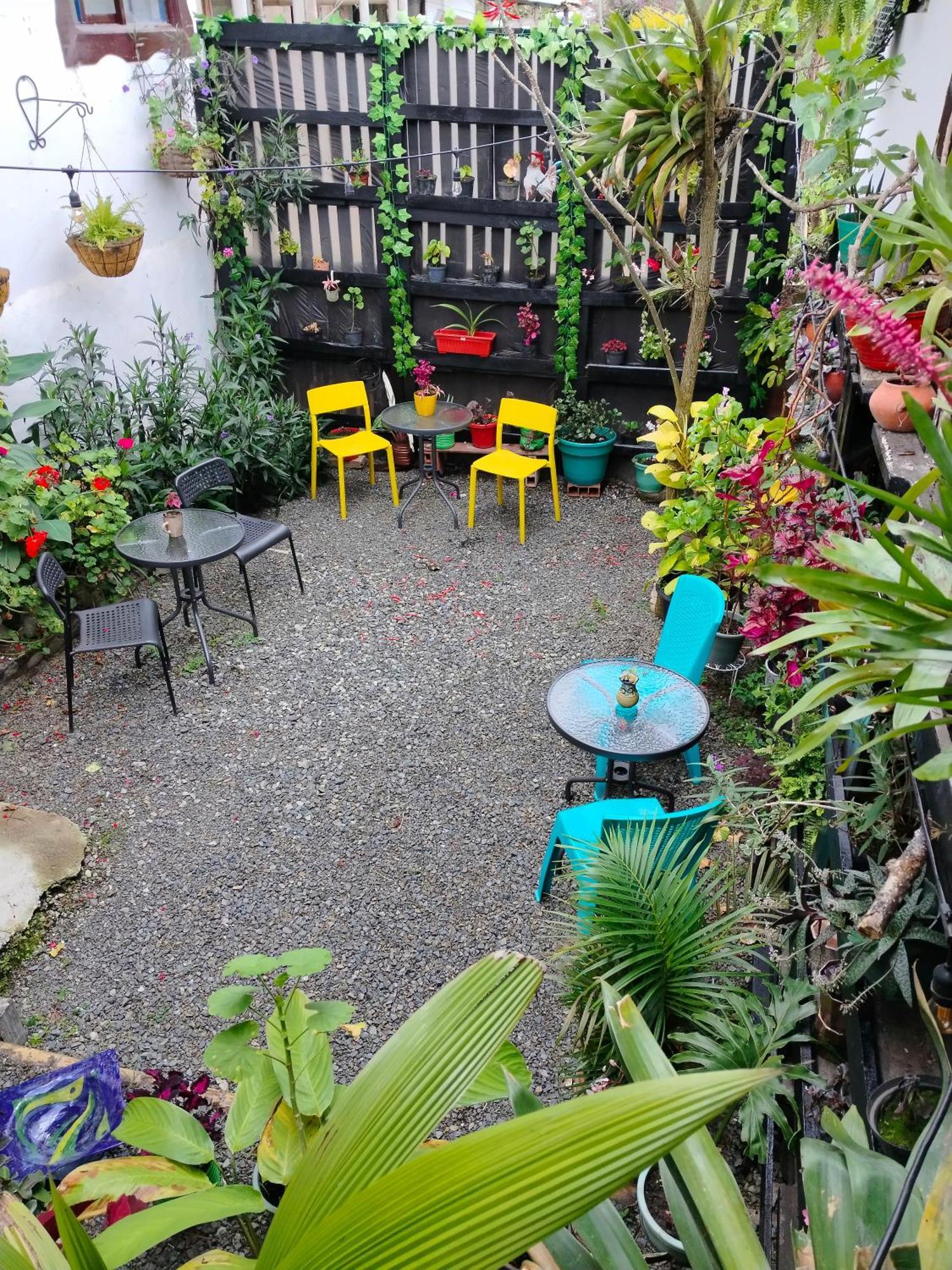 Apartaestudios La Baranda Salento Eksteriør billede